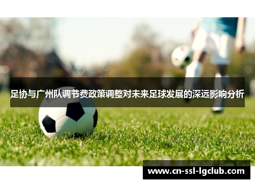 足协与广州队调节费政策调整对未来足球发展的深远影响分析